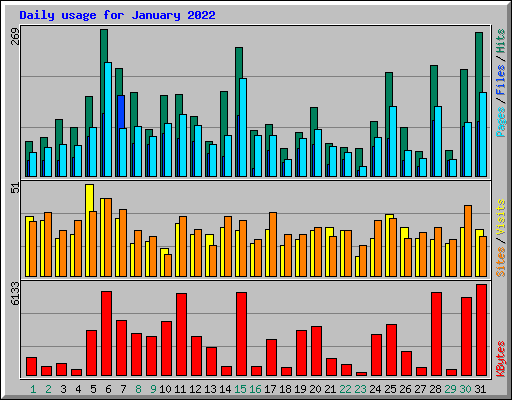 Daily usage for January 2022