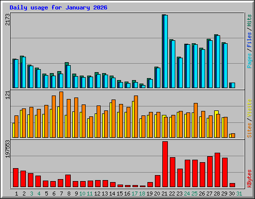 Daily usage for January 2026