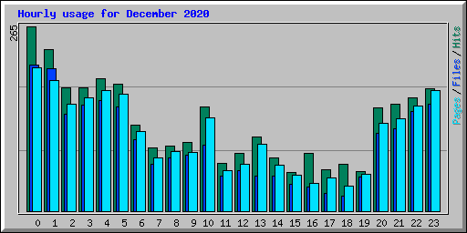 Hourly usage for December 2020