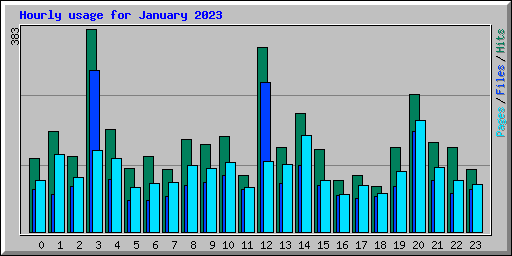 Hourly usage for January 2023