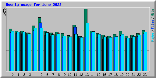 Hourly usage for June 2023