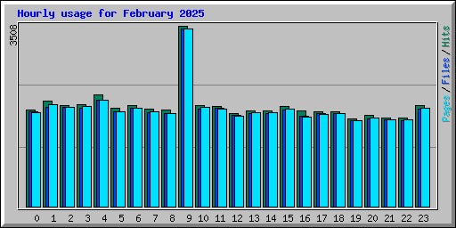 Hourly usage for February 2025