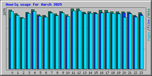Hourly usage for March 2025