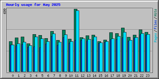 Hourly usage for May 2025
