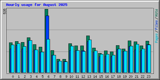 Hourly usage for August 2025
