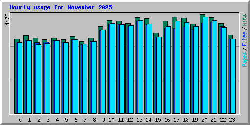 Hourly usage for November 2025