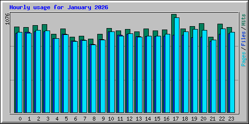 Hourly usage for January 2026