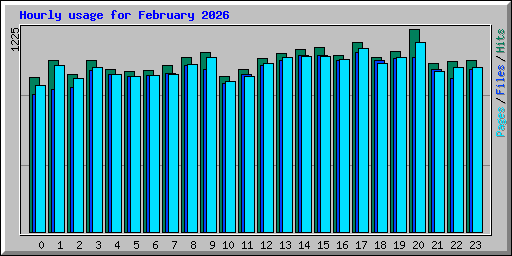 Hourly usage for February 2026